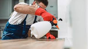 Best Residential Pest Control  in Gamewell, NC